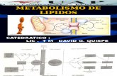Clase 7.Metabolismo Lipidos
