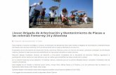 17-05-16 Llevan Brigada de Arborización y Mantenimiento de Plazas a las colonias Fomerrey 24 y Altavista