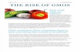 GMOs Sergo