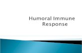 Humoral Immune Response