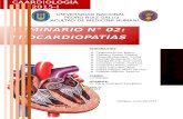 Seminario n 02 Miocardiopatías