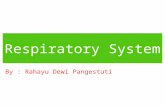 Respiratory_system Rahayu Dewi