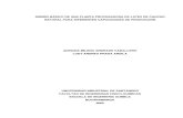 DISEÑO BASICO DE UNA PLANTA PROCESADORA DE LATEX DE CAUCHO NATURAL PARA DIFERNETES CAPACIDADES DE PRODUCCION.pdf