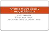 Anemia Macrocítica y Megaloblástica