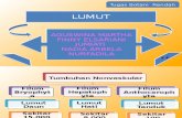 Lumut Presentation