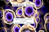 geokimia isotop
