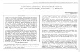 Estudio Químico Bromatológico de La Pituca (Colocasia Esculenta)