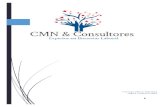 CMN & Consultores PDF