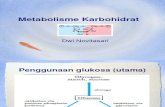 Metabolisme Glukosa Dan Piruvat