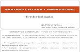 Embriología Vet 1