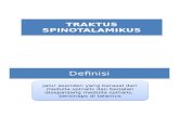 Tractus Spinothalamicus