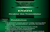 5rev_ enzimologi-strukturnomenklatur-2013_2.pdf