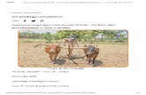 30 cent agri land will give 600 kg Paddy - Pasumai Vikatan _ கை கொடுக்கும் கைவரச்சம்பா..
