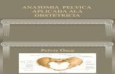 Dr Moya Anatomia Pelvica