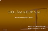 SIEU AM KHOP VAI.pdf