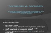 Antibodi & Antigen Ok