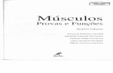 Músculos Provas e Funcões -  Quinta edição - Flowrence P. Kendall,2007