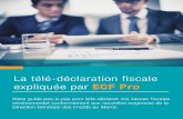 Guide Télé-déclaration ECF Pro