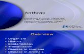 kuliah uniba Anthrax5