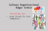 Cultura Organizacional Edgar Schein