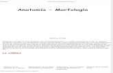 Anatomía y Morfología de Los Heloderma