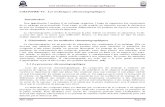 Les Techniques Chromatographiques- Mémoire ICH05