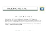 CSS Responsivo