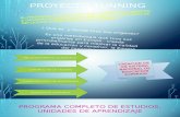 Proyecto Tunning PRESENTACION (Producto 4)