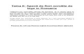 Tema II: Specii de flori ocrotite de lege in Romania