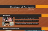 Etiologi Pertussis - MK