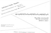 244750404 BWV 997 Trans Tilman Hoppstock PDF