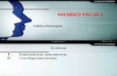 Robotica I morfologia de un robot