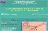 Carcinoma Papilar de la Glándula Tiroides.pptx