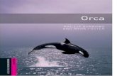 Stage 01 Orca Oxf Pict
