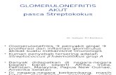 Glomerulonefritis Akut Post Streptococcus2 Ppt