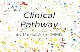 Clinical Pathway Merita