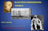 electrocardiografia basica