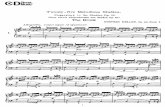 Op.45 25 Melodious Studies