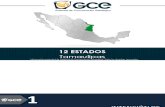 Encuesta Tamaulipas