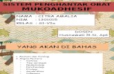 SPO Mukoadhesif Citra Amalia 1301015