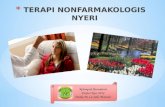 Terapi Nonfarmakologis Nyeri