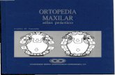 Ortopedia Maxilar