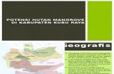 Potensi Hutan Mangrove Di Kabupaten Kubu Raya