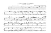 Schoenberg - Verklarte Nacht piano redux