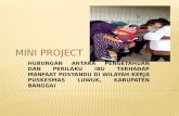 Mini Project Internship