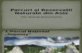 Parcuri Si Rezervatii Naturale Din Asia