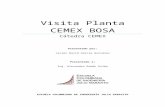 Visita Planta Cemex Bosa