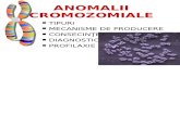Anomalii Cromozomiale ROM