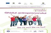 Garantii Pentru Tineri Ghidul Antreprenorului