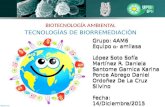 Tecnologías de Biorremediación